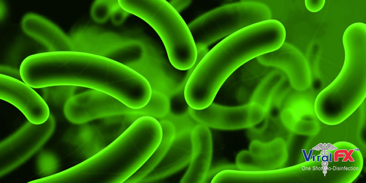 Proven antibacterial antiviral disinfectant for farm and livestock and hospitals