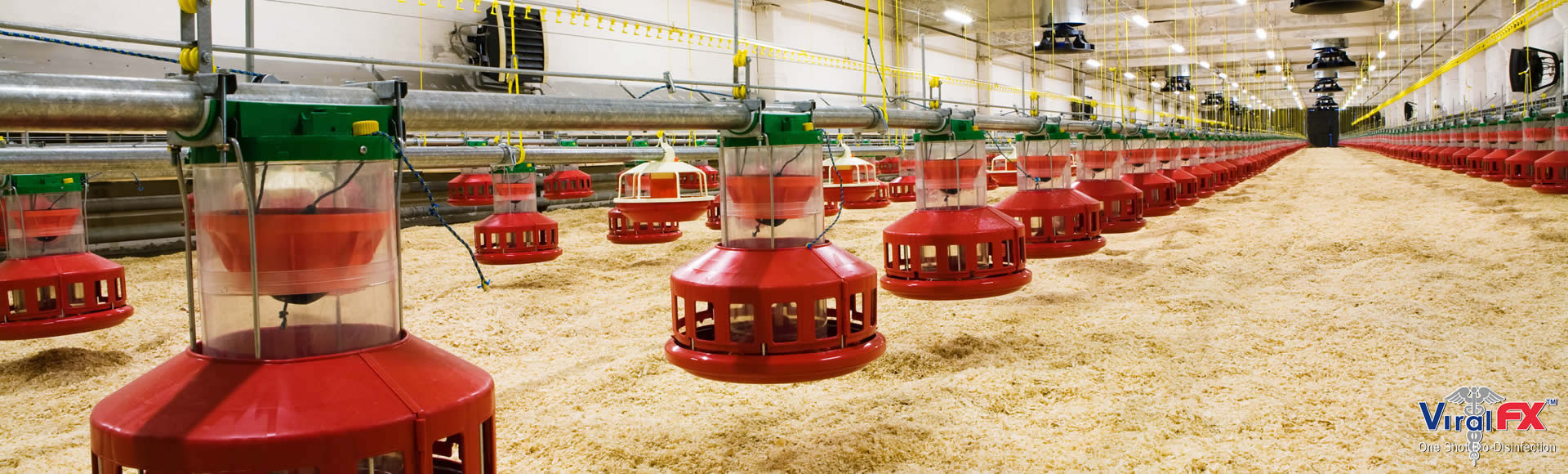 hatchery-1